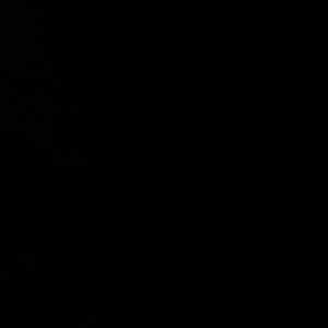 Meet your Posher, Chassity